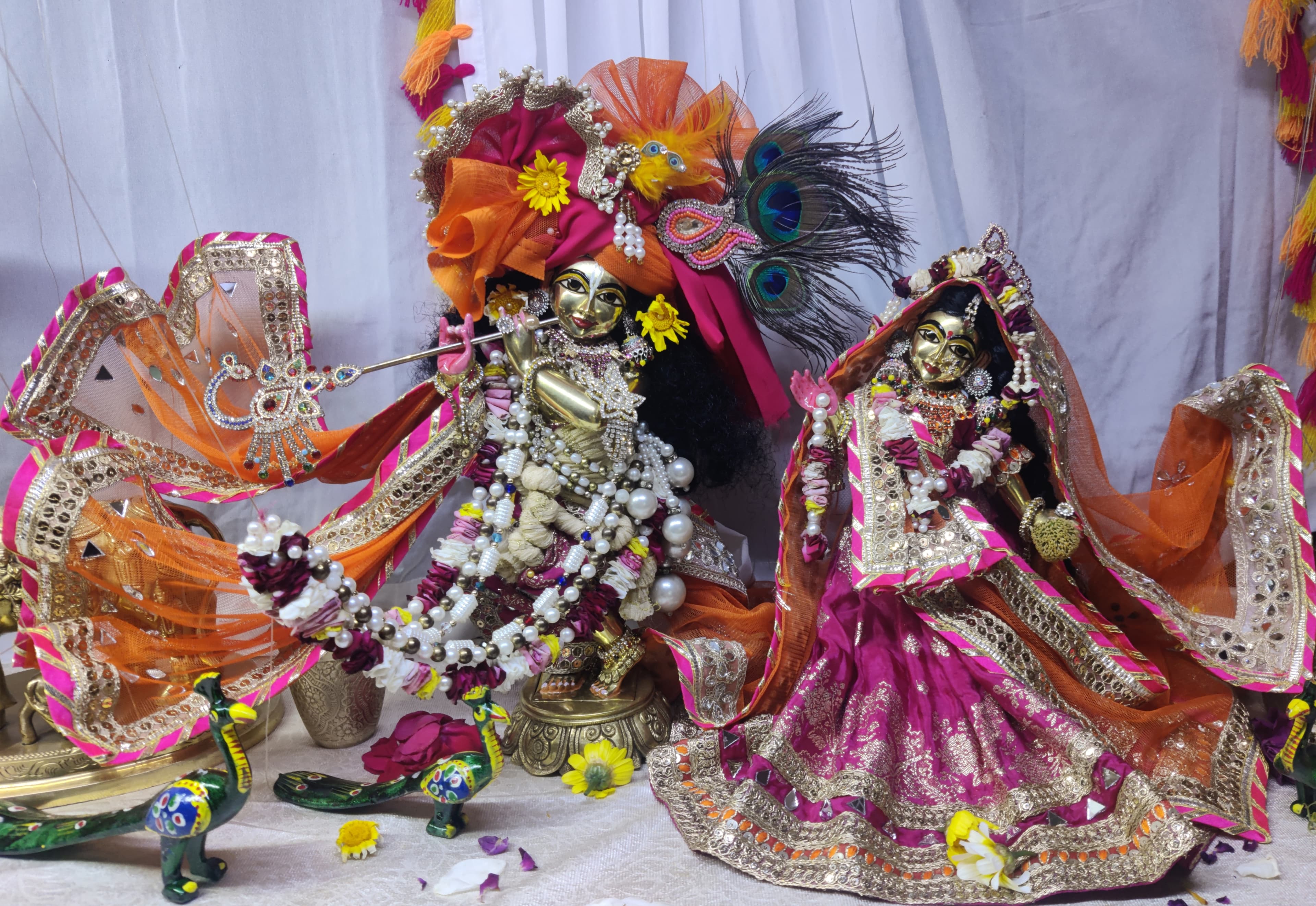 ISKCON Kangra Sankirtan